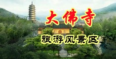 操宁夏骚女的逼逼中国浙江-新昌大佛寺旅游风景区